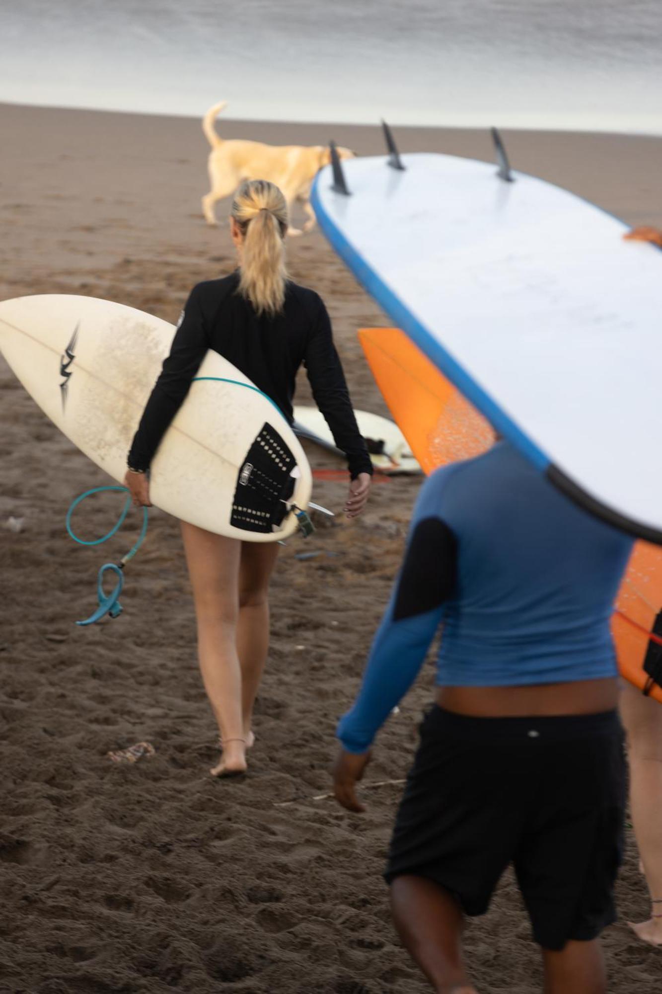 Zentiga Surf Hostel Canggu Zewnętrze zdjęcie